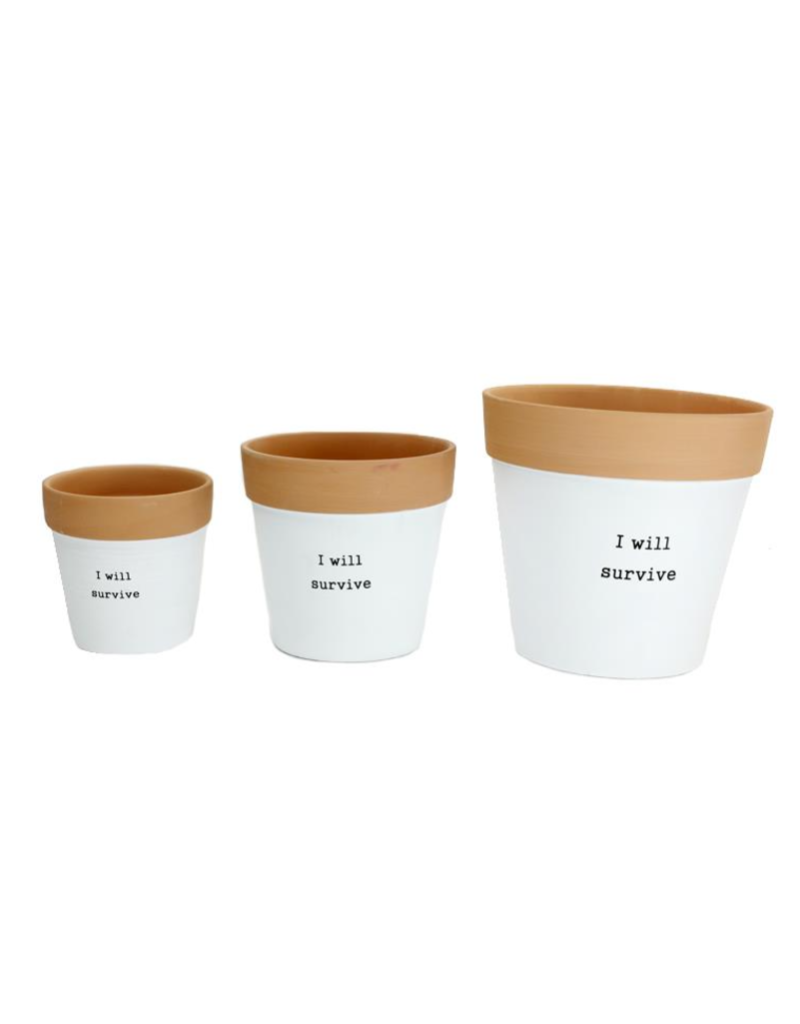 KOPPERS I WILL SURVIVE PLANTERS