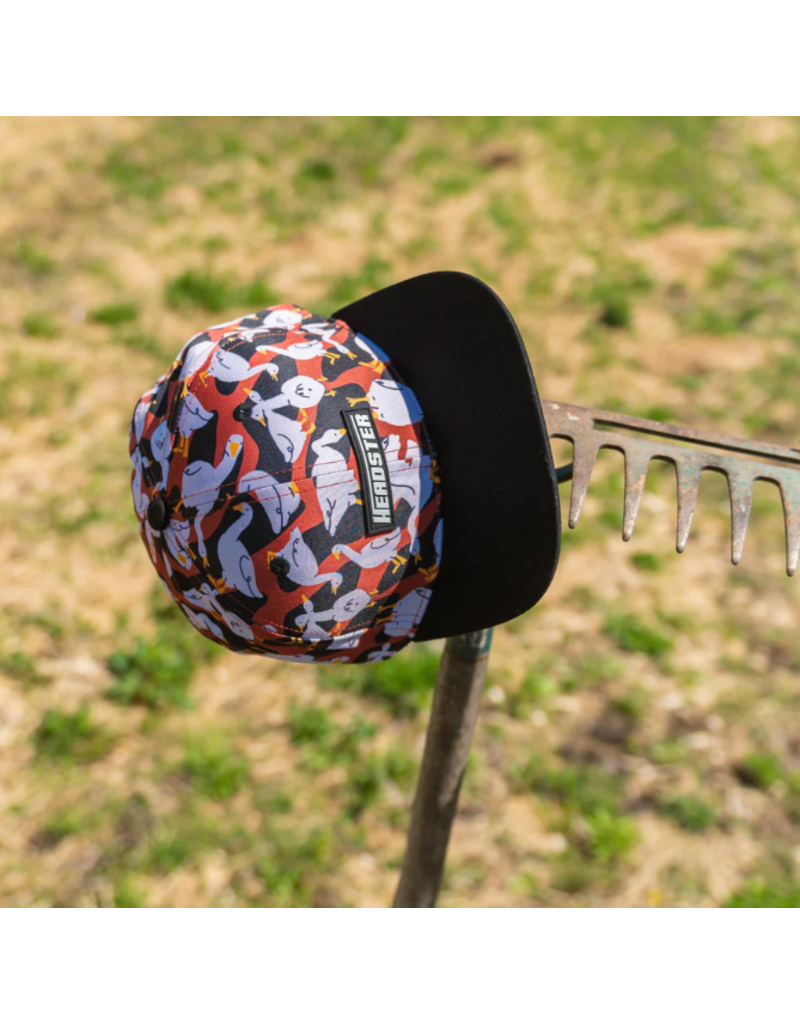 HEADSTER SNAPBACK