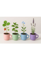 MINI MUG w/SEEDS