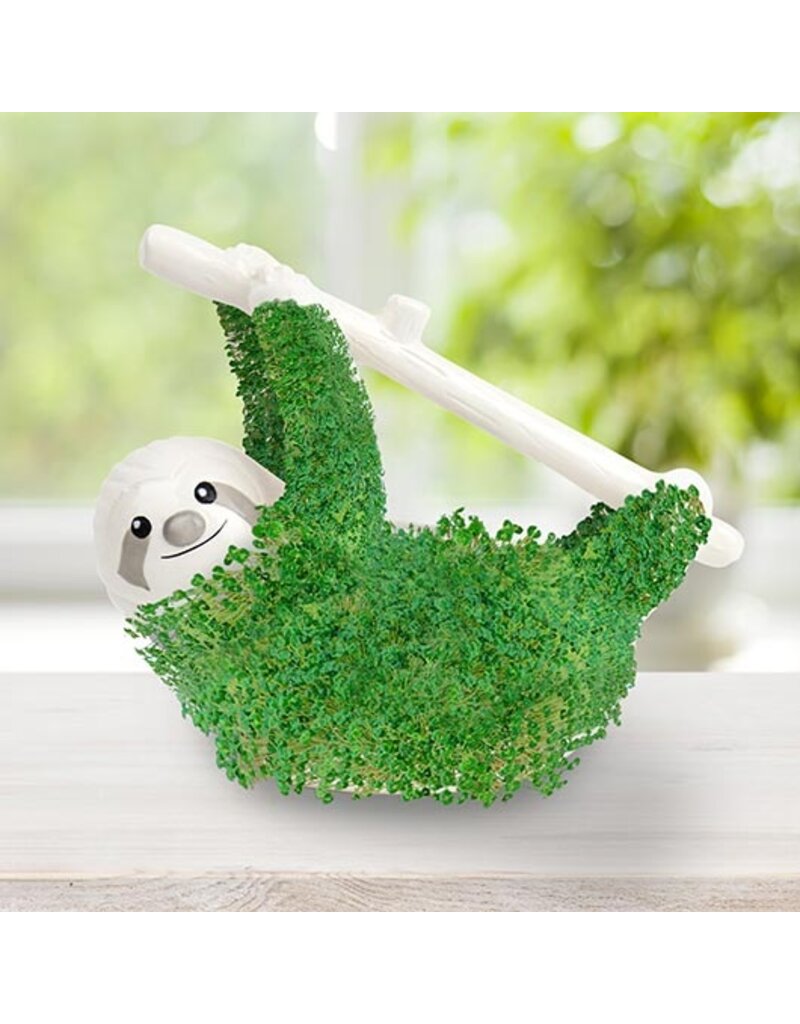 GIFT REPUBLIC GROW KITS - SLOTH