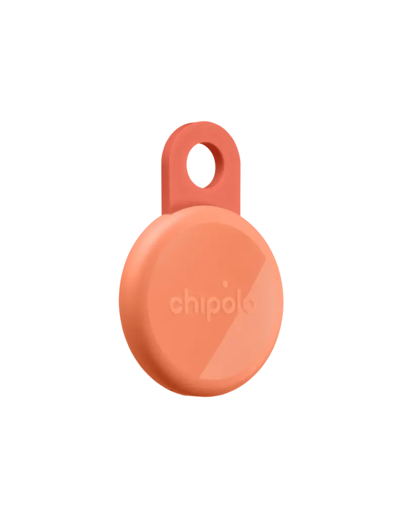 CHIPOLO CHIPOLO LOOP