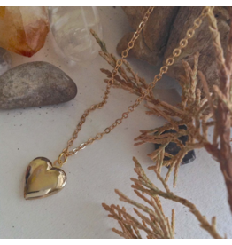 PIKA & BEAR TOTAL ECLIPSE OF THE HEART GOLD LOCKET NECKLACE