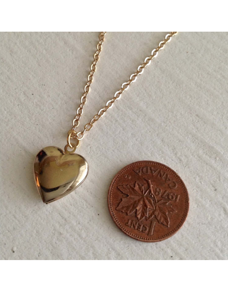 PIKA & BEAR TOTAL ECLIPSE OF THE HEART GOLD LOCKET NECKLACE