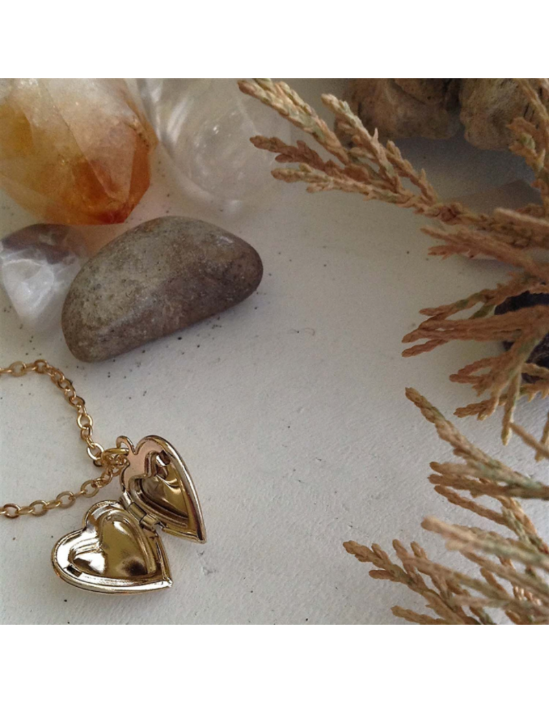 PIKA & BEAR TOTAL ECLIPSE OF THE HEART GOLD LOCKET NECKLACE
