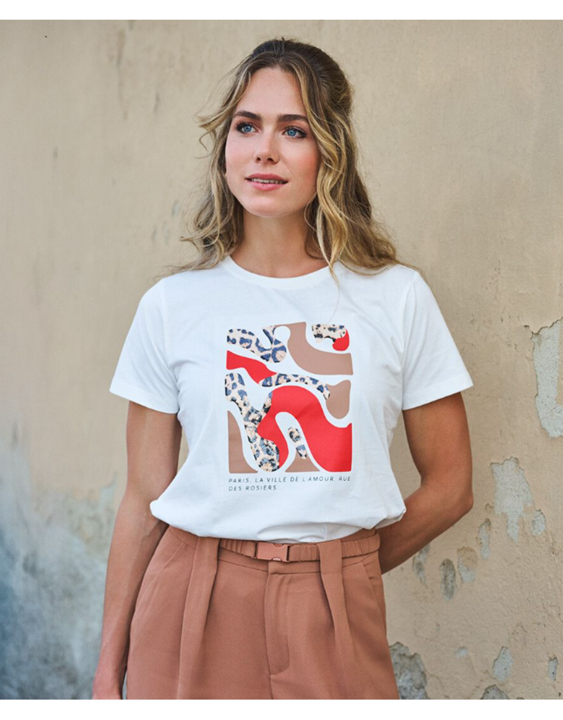 COTTON ESQUALO GRAPHIC TEE