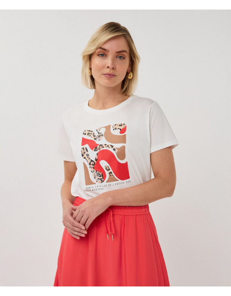 COTTON ESQUALO GRAPHIC TEE