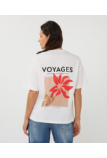 COTTON ESQUALO GRAPHIC TEE