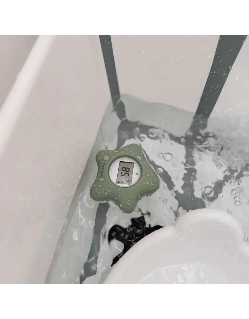 BATHTUB THERMOMETER