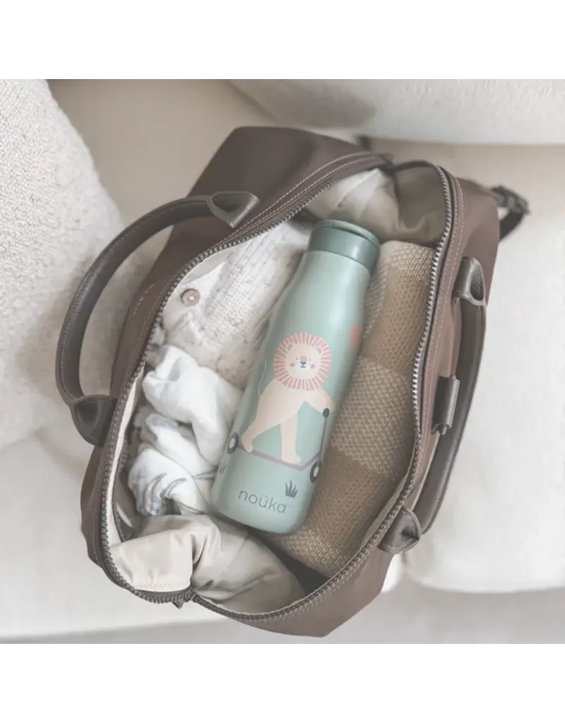 STAINLESS STEEL WATER BOTTLE - 16OZ