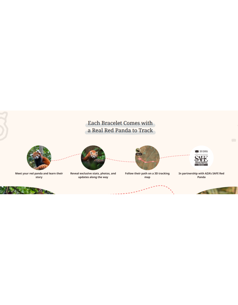 THE DASH BRACELET - RED PANDA
