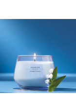 YANKEE CANDLES YANKEE CANDLE 10 OZ