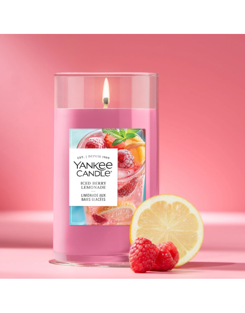YANKEE CANDLES YANKEE CANDLE 14.25 OZ