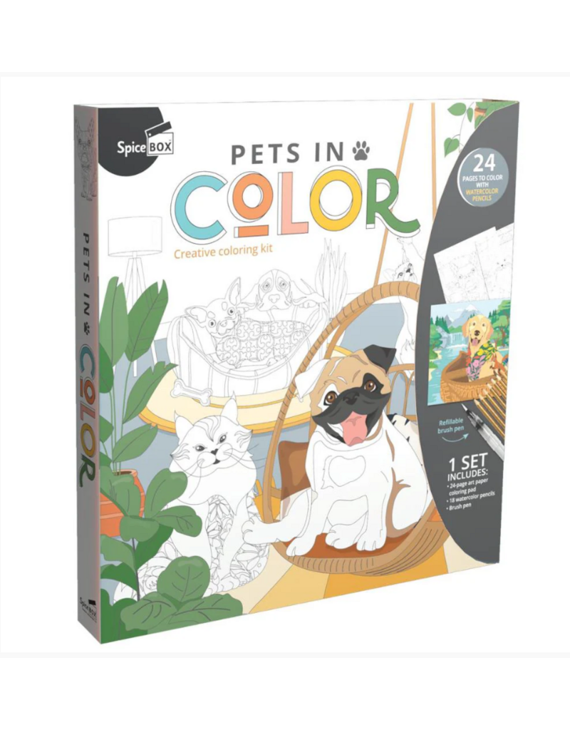 SPICE BOX SKETCH PLUS PETS IN COLOR