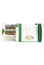 SPICE BOX SKETCH PLUS PETS IN COLOR