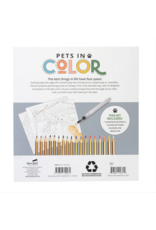 SPICE BOX SKETCH PLUS PETS IN COLOR