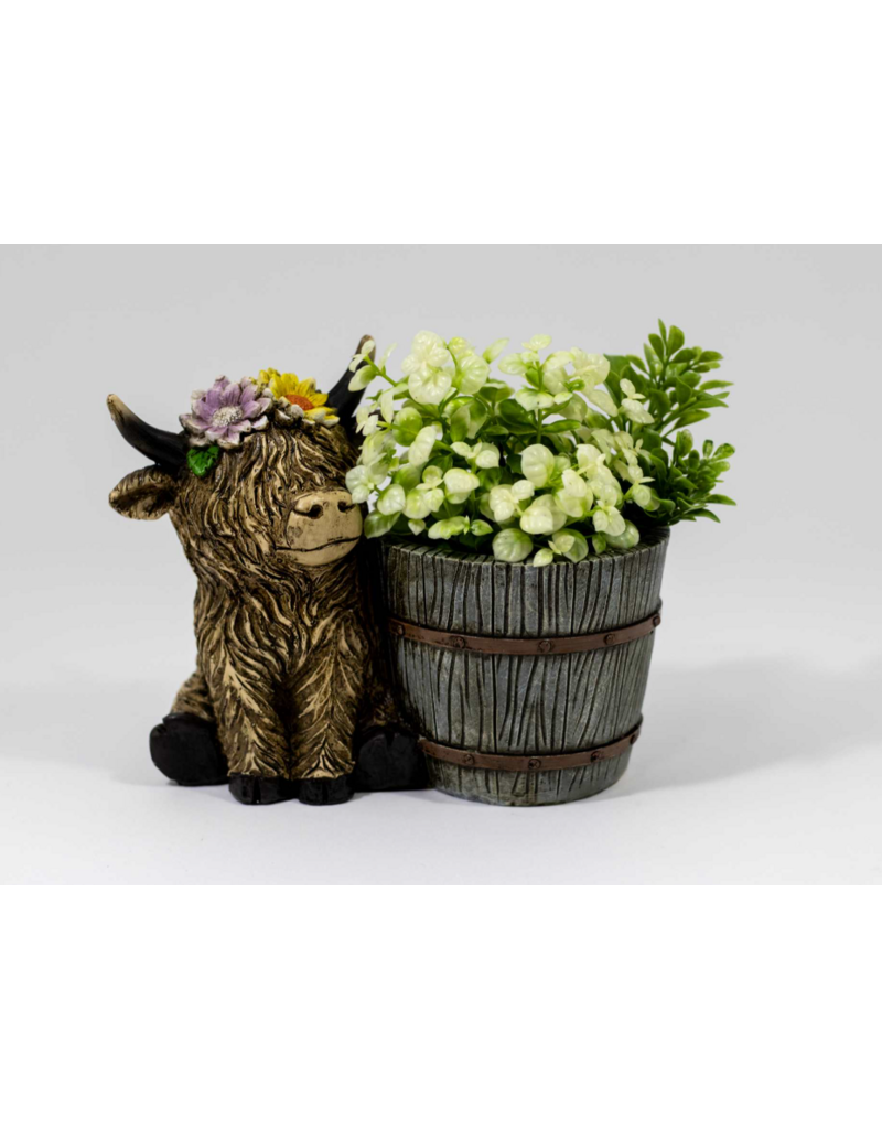 HIGHLAND COW PLANTER