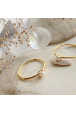PIKA & BEAR COYO RING  GOLD VERMEIL