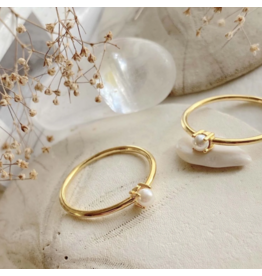 PIKA & BEAR COYO RING  GOLD VERMEIL