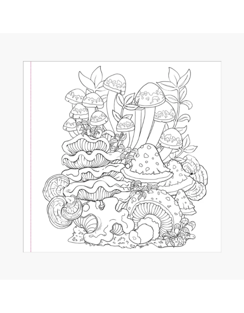 COLORING BOOKS