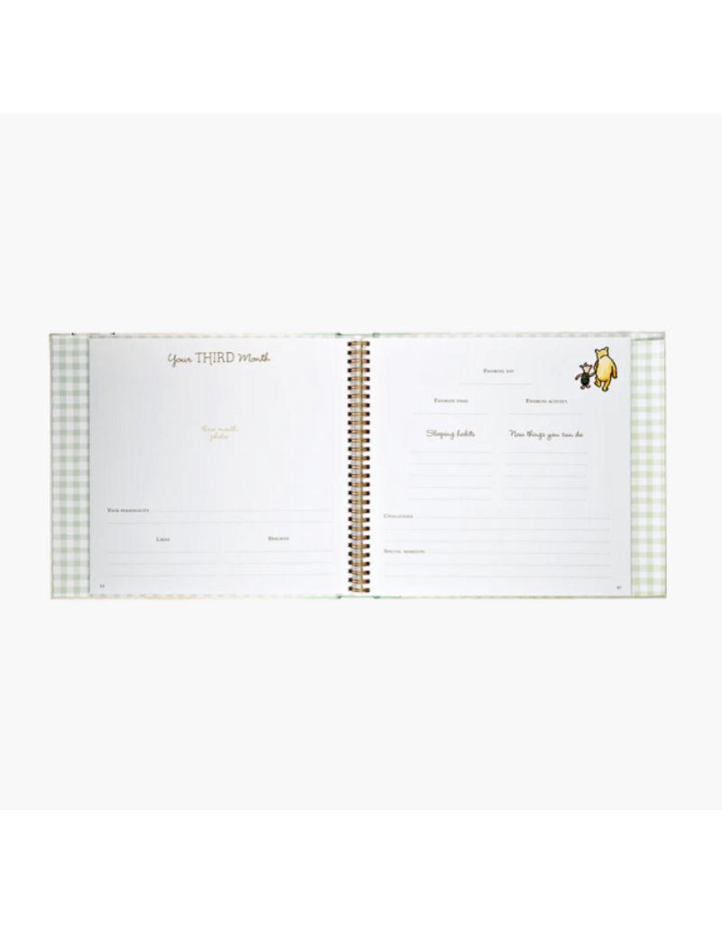 BABY BOOK - FIRST 5 YEARS - WINNIE THE POOH
