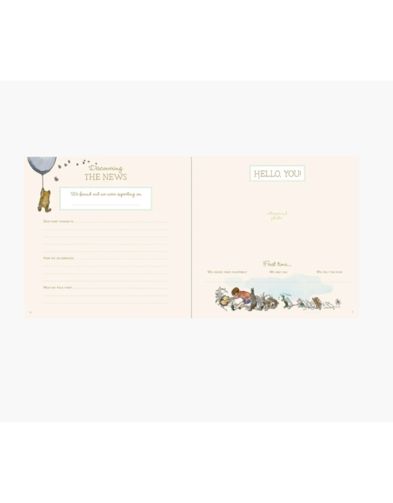 BABY BOOK - FIRST 5 YEARS - WINNIE THE POOH