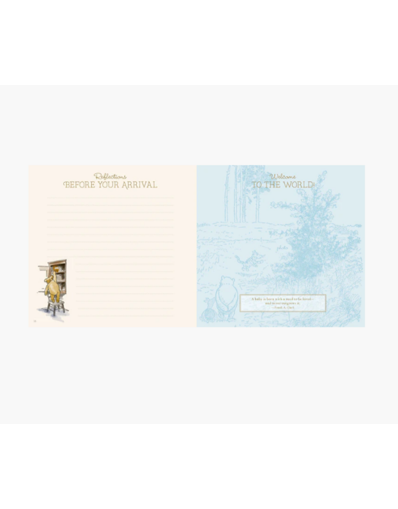 BABY BOOK - FIRST 5 YEARS - WINNIE THE POOH