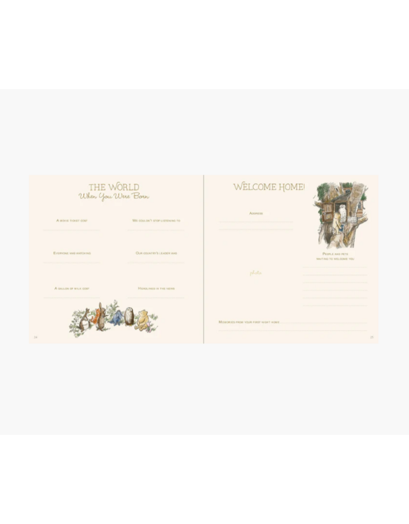BABY BOOK - FIRST 5 YEARS - WINNIE THE POOH