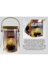GLASS TERRARIUM