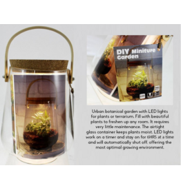 GLASS TERRARIUM