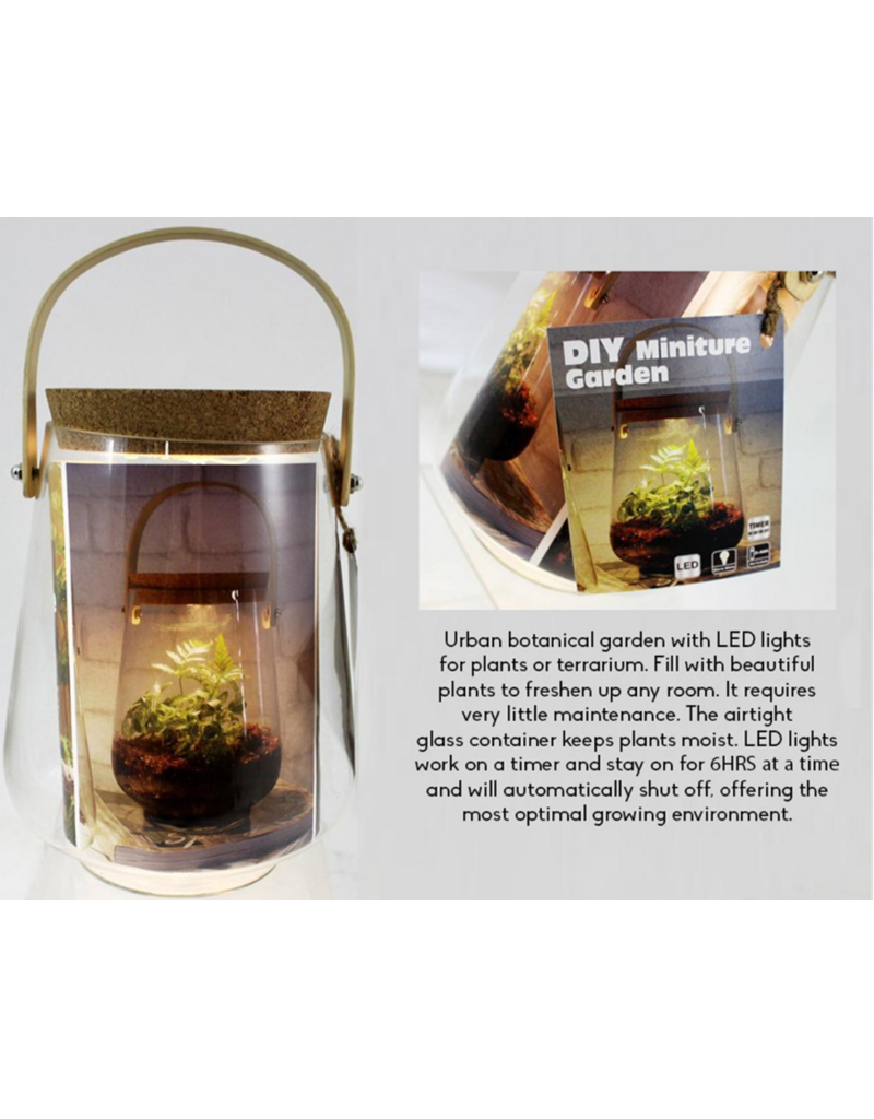 GLASS TERRARIUM