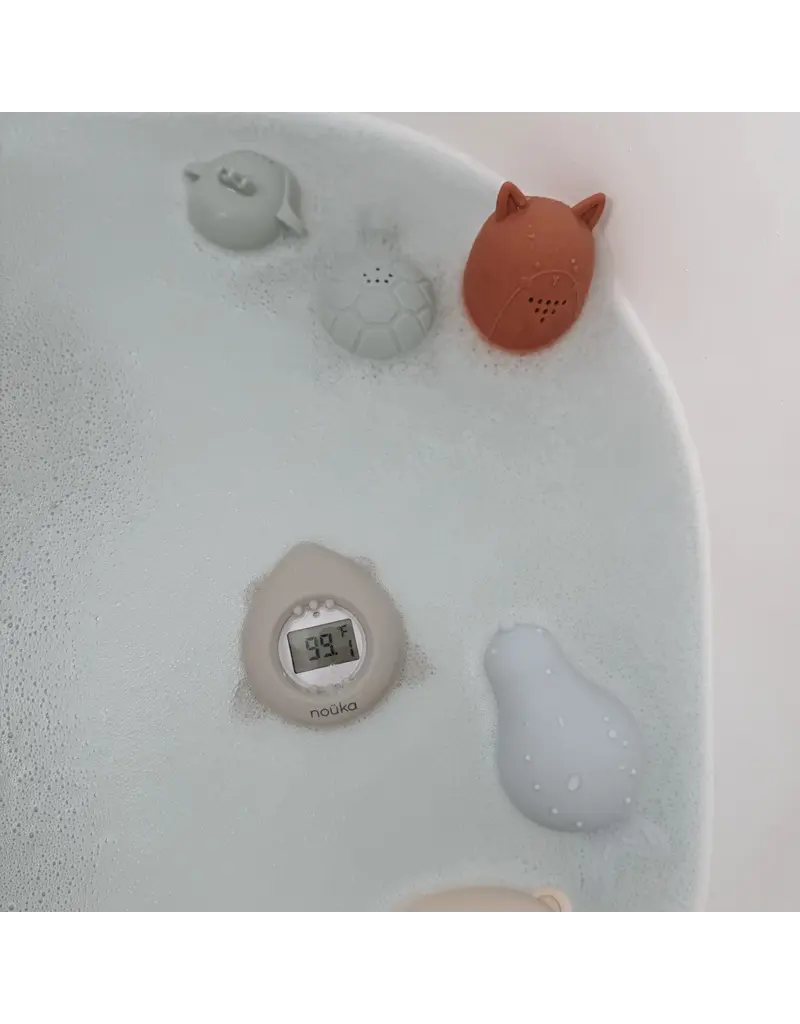 NOUKA BATHTUB THERMOMETER