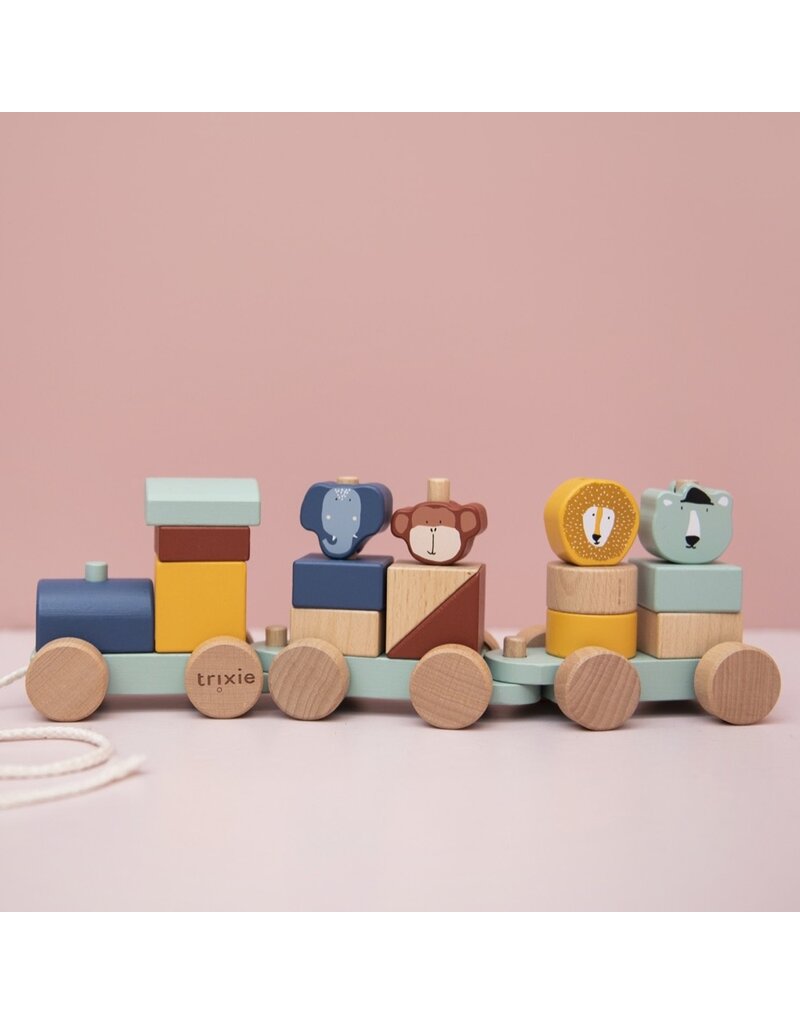 TRIXIE WOODEN ANIMAL TRAIN