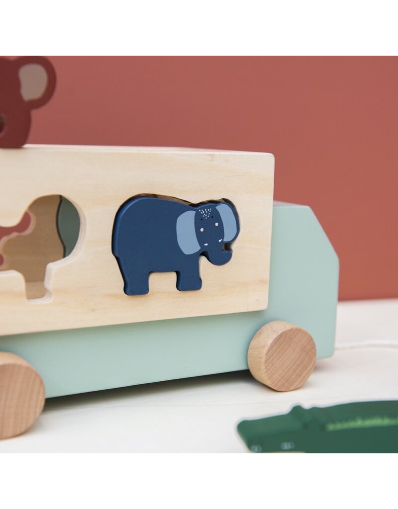TRIXIE WOODEN ANIMAL TRUCK