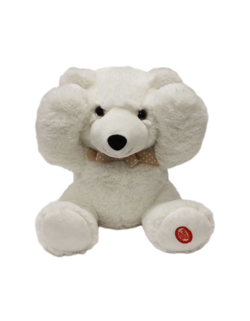 PEEK-A-BOO GIGGLING TEDDY BEAR