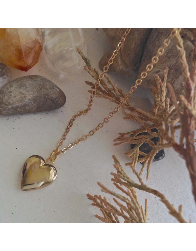 PIKA & BEAR TOTAL ECLIPSE OF THE HEART LOCKET NECKLACE