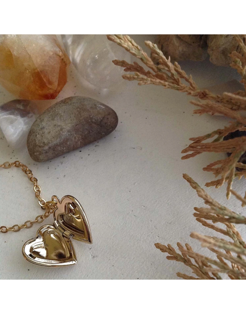 PIKA & BEAR TOTAL ECLIPSE OF THE HEART LOCKET NECKLACE