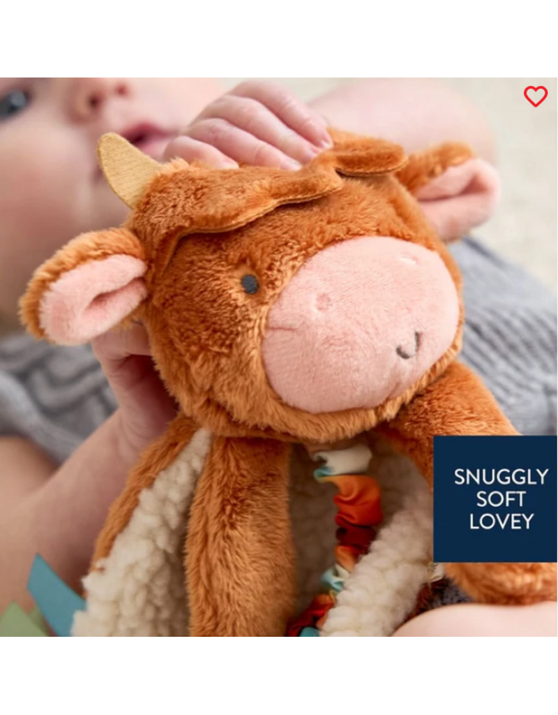 ITZY RITZY LOVEY PLUSH & TEETHER TOY