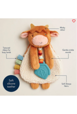 ITZY RITZY LOVEY PLUSH & TEETHER TOY