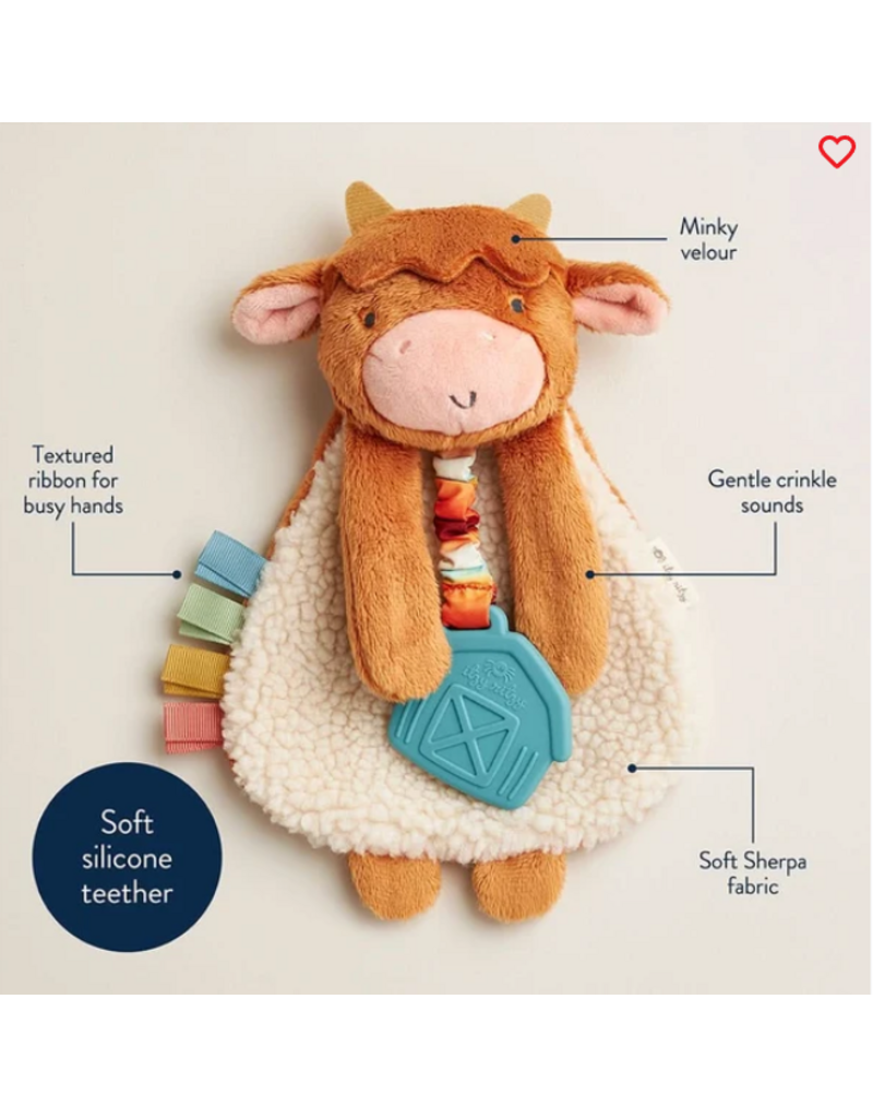 ITZY RITZY LOVEY PLUSH & TEETHER TOY