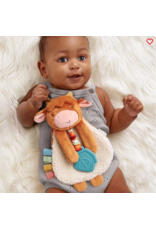 ITZY RITZY LOVEY PLUSH & TEETHER TOY