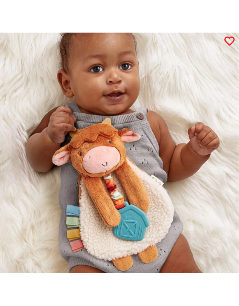 ITZY RITZY LOVEY PLUSH & TEETHER TOY