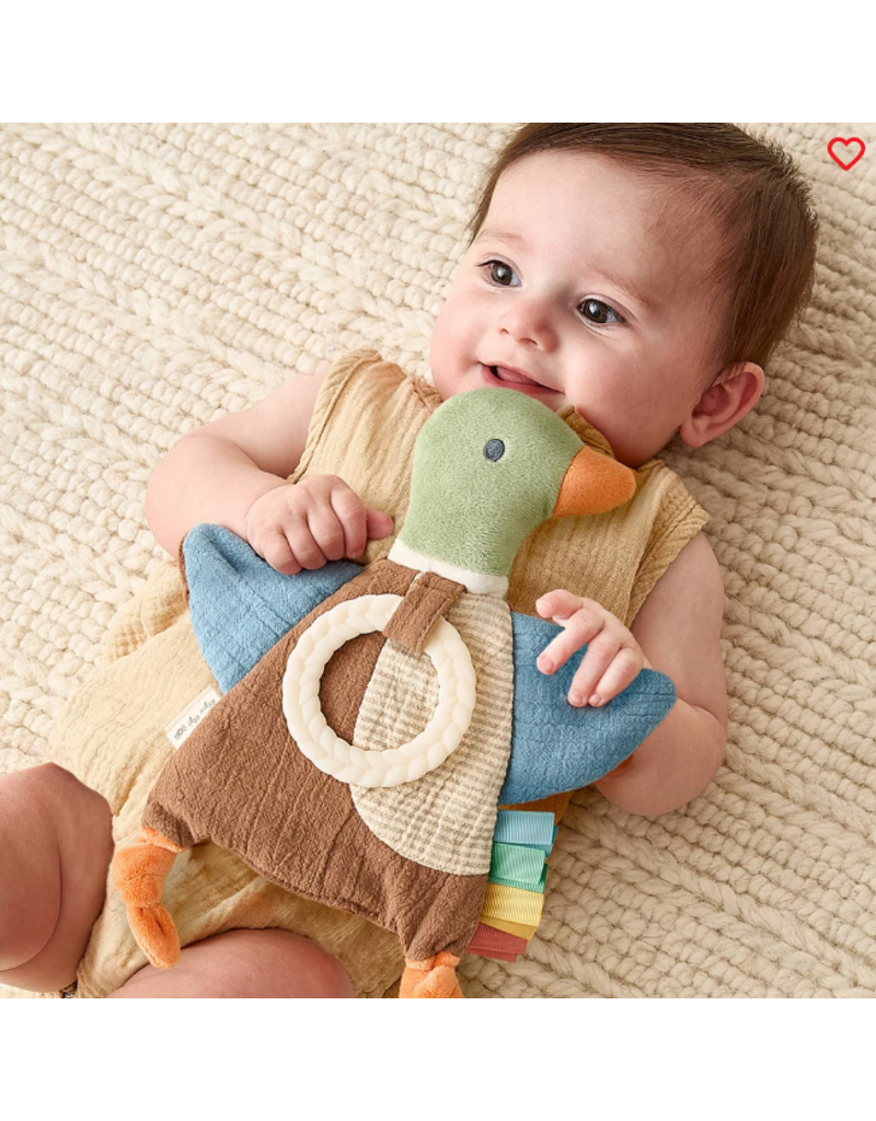 ITZY RITZY SENSORY CRINKLE TOY W/ TEETHER