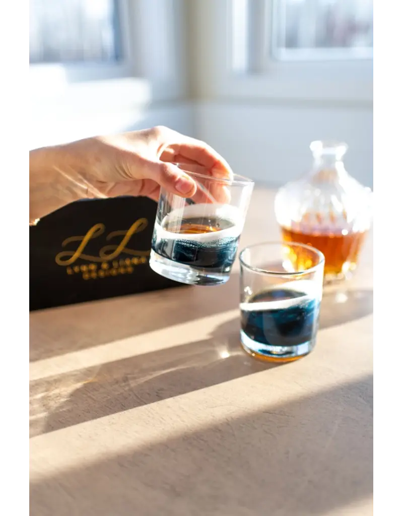 LYNN & LIANA DESIGNS RESIN WHISKEY GLASSES - 12 OZ