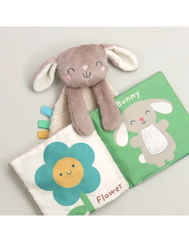 ITZY RITZY LEARN & SNUGGLE GIFT SET - BUNNY