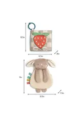 ITZY RITZY LEARN & SNUGGLE GIFT SET - BUNNY