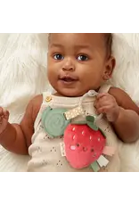 ITZY RITZY PLUSH & TEETHER