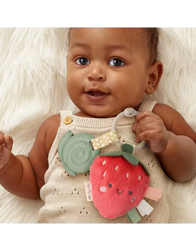 ITZY RITZY PLUSH & TEETHER