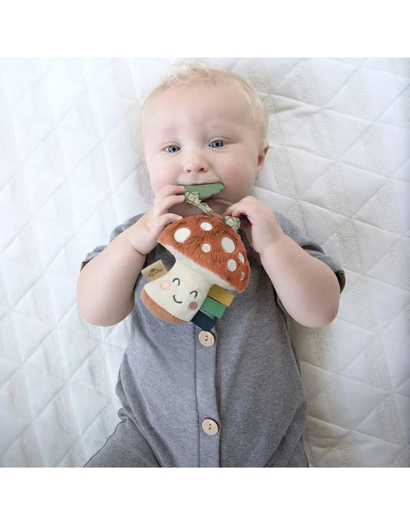 ITZY RITZY PLUSH & TEETHER