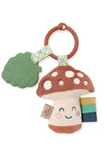 ITZY RITZY PLUSH & TEETHER