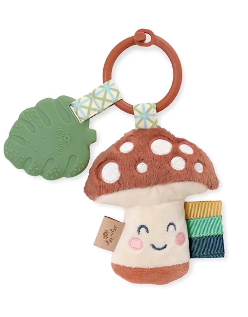ITZY RITZY PLUSH & TEETHER